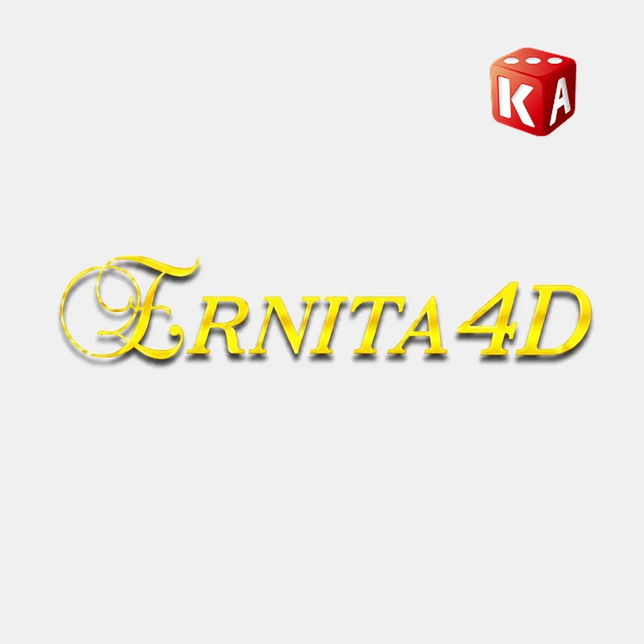 Logo ernita4d